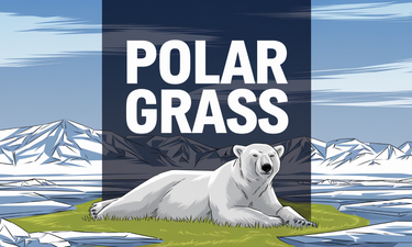 PolarGrass.com - Creative brandable domain for sale